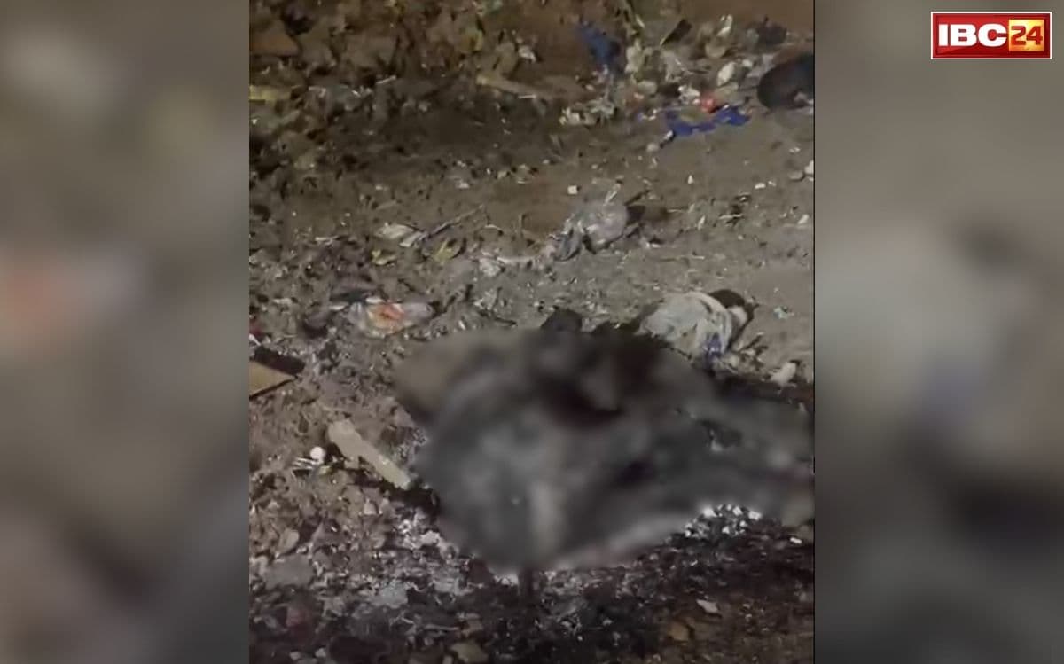 Jodhpur Cow Burning Case: सड़क किनारे आग में झुलसा मिला गोवंश का शव, इलाके में मचा हड़कंप, इस जगह का मामला