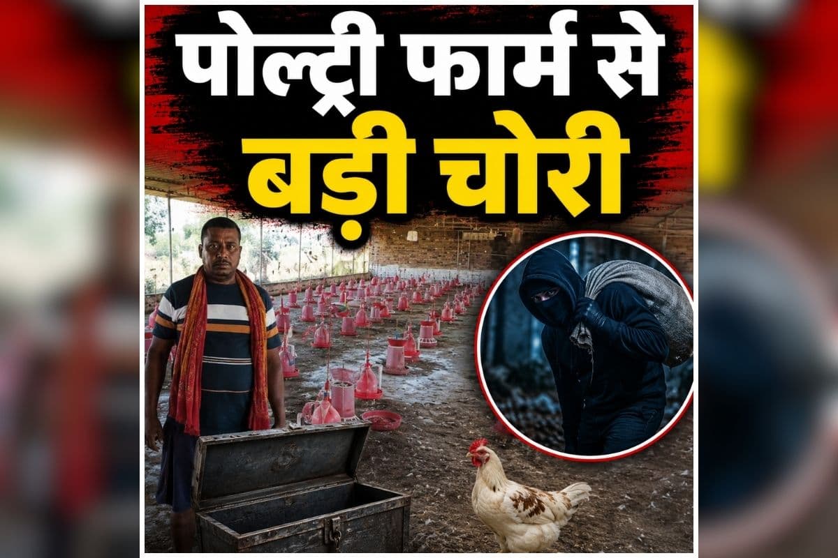 Bihar Crime News: न ताला बचा..न कुछ मिला, पोल्ट्री फार्म का नजारा देख मालिक के उड़ गए होश, जानें कैसे गायब हो गई हजारों मुर्गियां