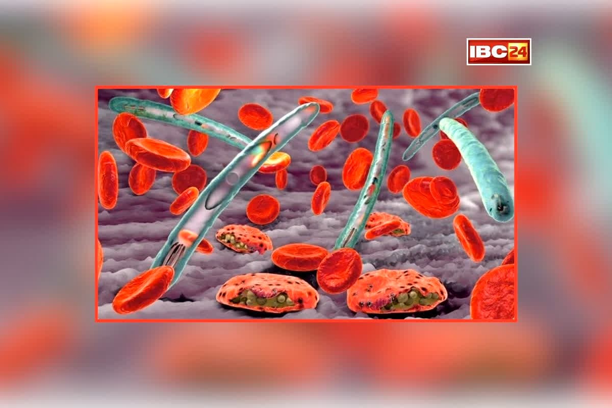 Cerebral Malaria Case In Jharkhand/Image Credit: IBC24.in