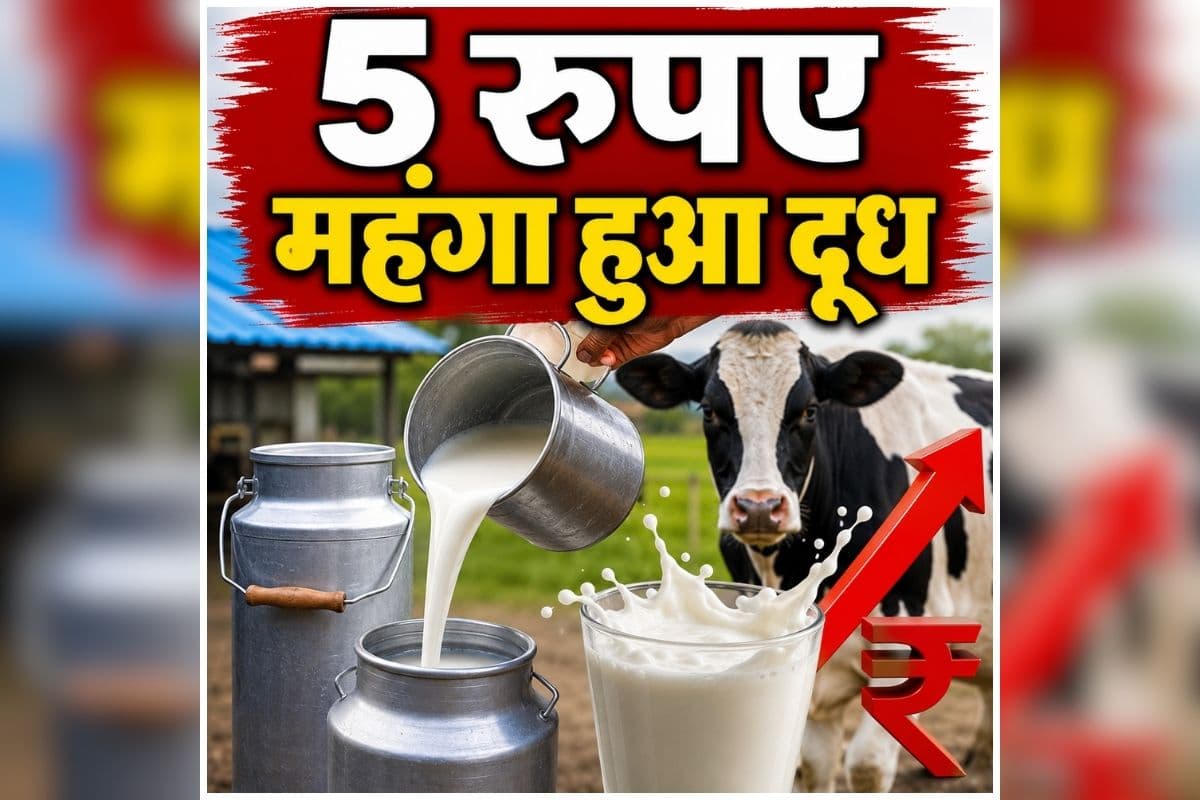 Milk Price Hike: आम जनता को बड़ा झटका! फिर महंगा हुआ दूध, अचानक हुई 5 रुपए की बढ़ोतरी, जानें अब एक लीटर के लिए कितने चुकाने होंगे पैसे