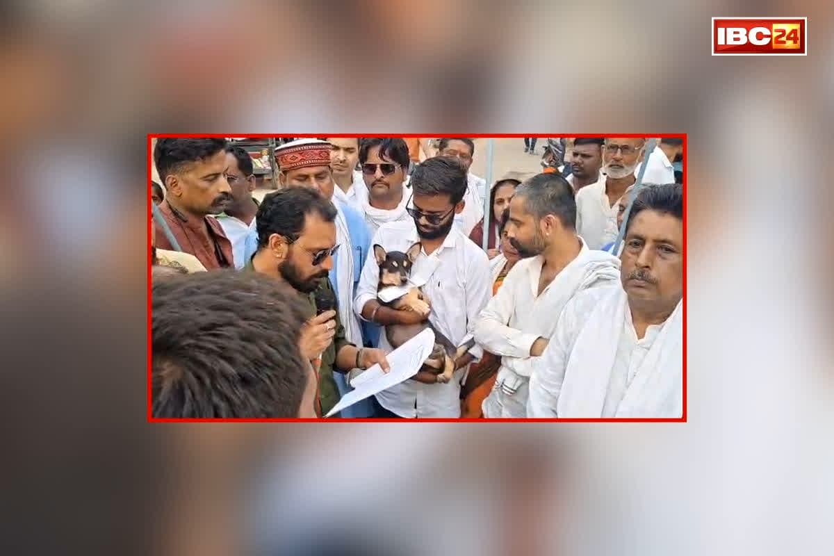 Shahdol Congress Protest News: नहीं मिला कोई अधिकारी तो आवारा कुत्ते को सौंपा ज्ञापन, चर्चा का विषय बना कांग्रेस का प्रदर्शन, आप भी देखें वीडियो