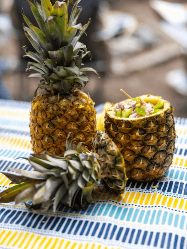 Summer Cooling Foods : किचन की गर्मी को कहें बाय-बाय! बिना चूल्हा सुलगाए बनाएं ये 5 जादुई डिशेज, खाते ही तन-मन हो जाएगा कूल