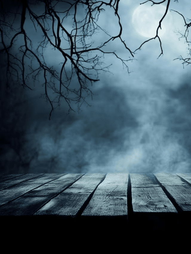 Bollywood Celebrities Ghost stories : कैमरे के पीछे का खौफ! इन 5 बॉलीवुड सितारों ने असल जिंदगी में देखा है ‘भूत’
