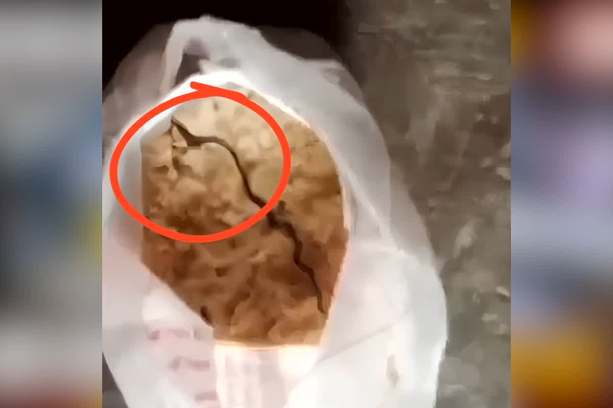Dead Snake In Poshan Aahar : सावधान! आंगनबाड़ी से मिले पोषण आहार को छूने से पहले पढ़ लें यह खबर, भीतर का खौफनाक नजारा देख उड़ जाएंगे होश