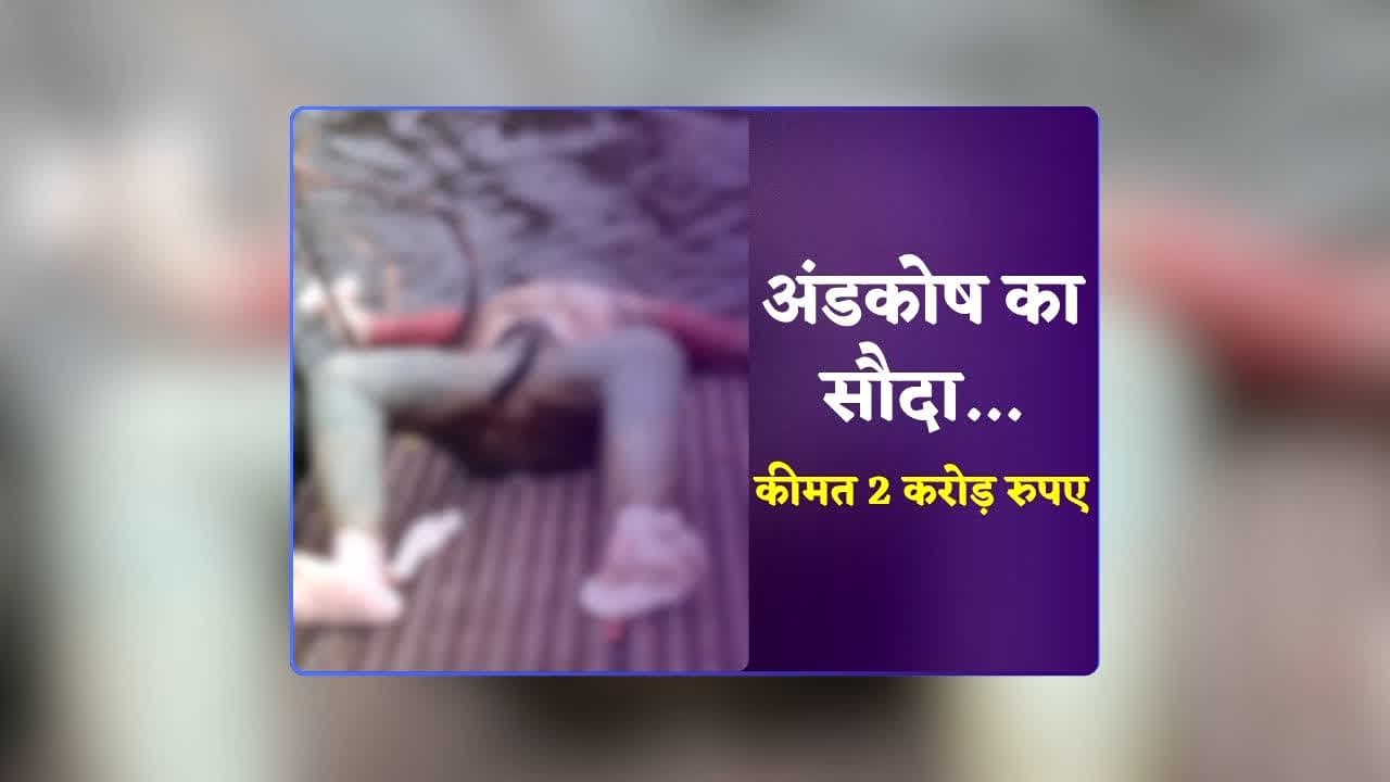 Bhopal Andkosh Racket News: 2 करोड़ रुपए में अंडकोष का सौदा…विदेश में बेचने की हो चुकी थी तैयारी? अंडकोष गैंग ने युवक की हत्या कर निकाले बॉडी पार्ट? पूरी कहानी जानकर कांप उठेगी रूह