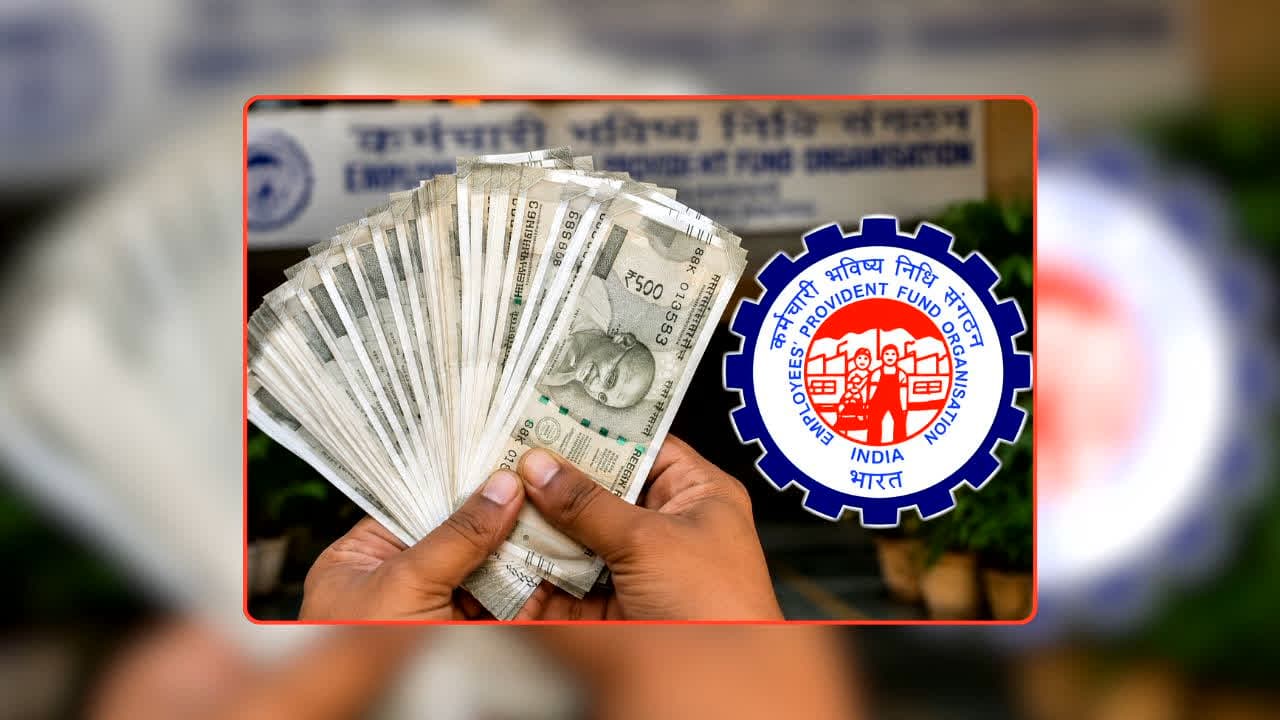 EPFO Update: PF Transfer में बार-बार आ रही दिक्कत? घर बैठे मिनटों में इस छोटी गलती को ऐसे करें ठीक, जानिए पूरा प्रोसेस