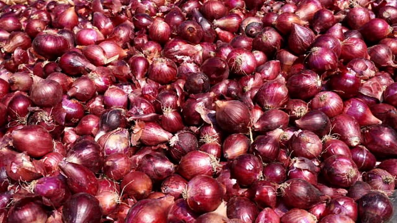 Pyaj Price Hike News: थाली से गायब होने लगा प्याज! दिल्ली से कोलकाता तक आसमान छू रहे भाव, ‘कांदा एक्सप्रेस’ के बावजूद क्यों नहीं घटे दाम?