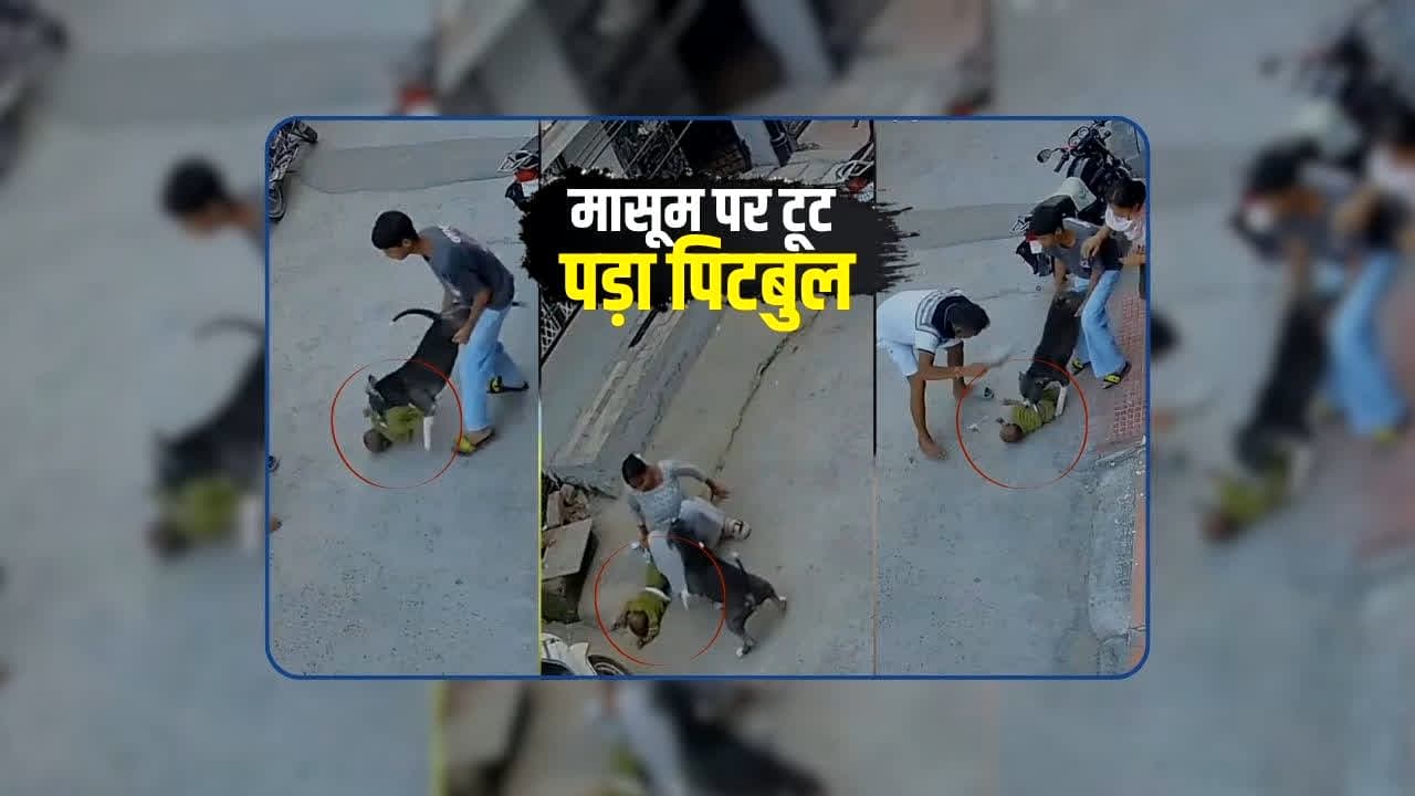 Sonipat Pitbull Attack Video: 6 महीने के मासूम पर टूट पड़ा पिटबुल, जबड़ों में दबाकर नोंचता रहा, वीडियो देख दहल उठेगा दिल