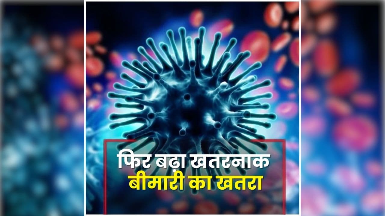 Swine Flu Case Gwalior: इस जिले में फिर बढ़ा खतरनाक बीमारी का खतरा, एक ही दिन में सामने आए 3 नए मामले, स्वास्थ्य विभाग में मचा हड़कंप