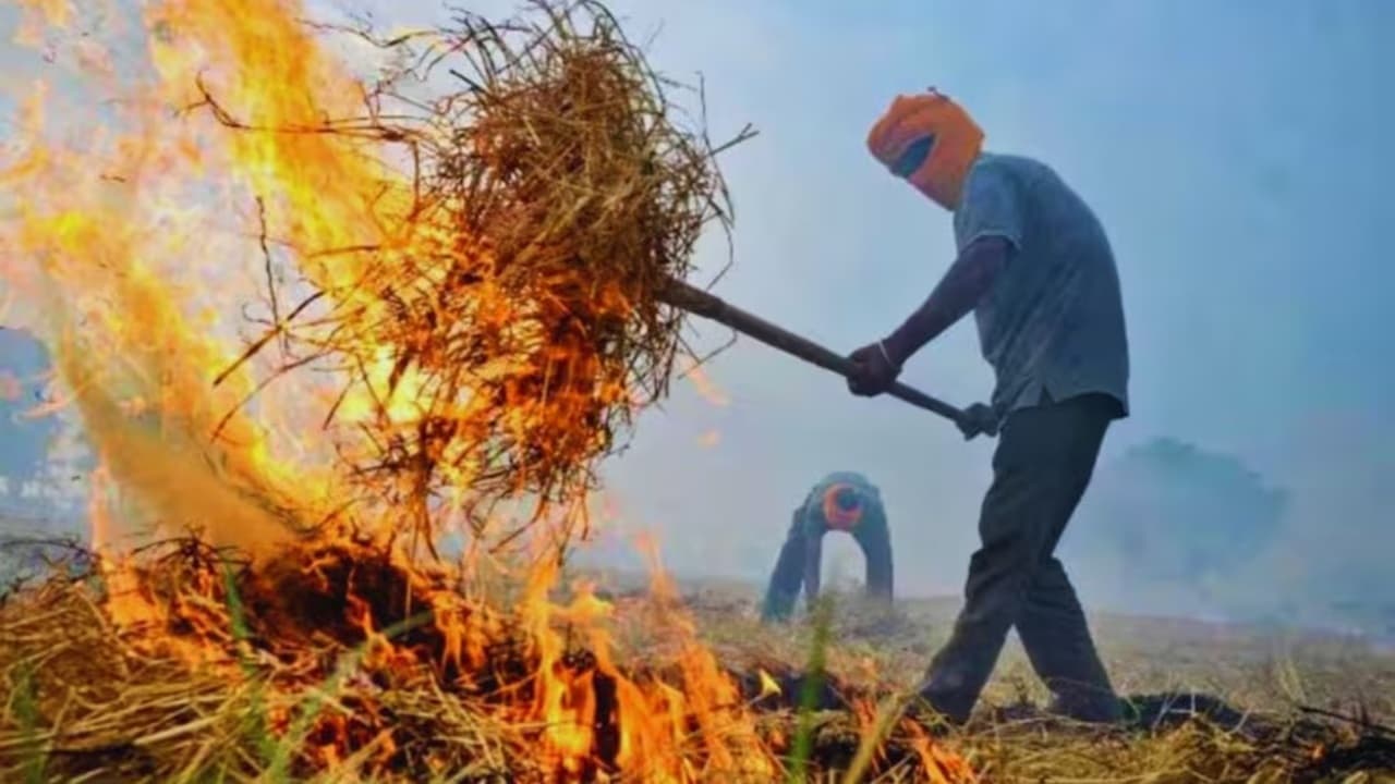किसानों के लिए जरूरी खबर, खेतों में जलाई पराली तो अब खैर नहीं, देना होगा इतने रुपए तक जुर्माना