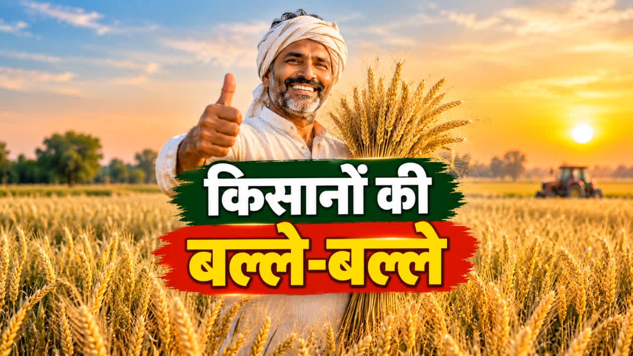 Good News for Farmers Today MSP Hike: किसानों को दिवाली से पहले बड़ी सौगात, BJP सरकार ने MSP में की बढ़ोतरी, जानिए अब कितने रुपए मिलेंगे प्रति क्विंटल / Image: AI Generated