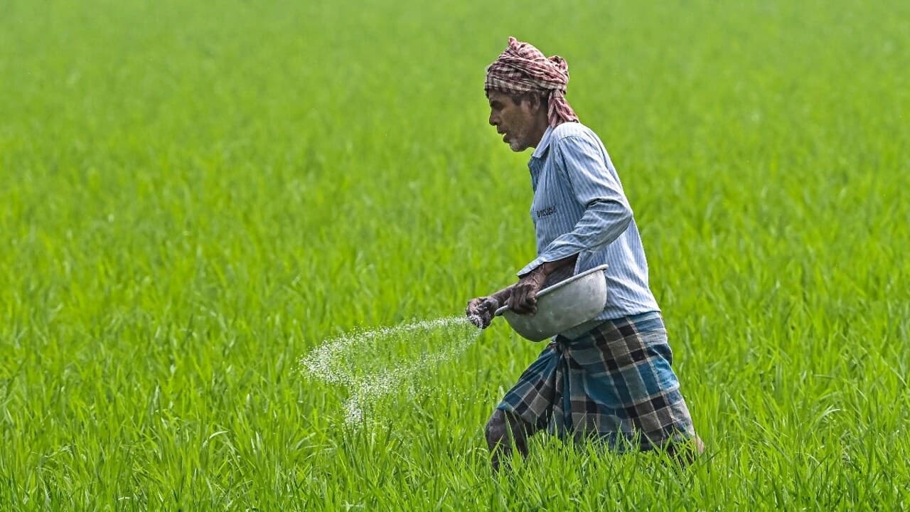 CG News: छत्तीसगढ़ के किसानों के लिए जरूरी खबर, अब इस सिस्टम से होगी खाद की आपूर्ति, जमाखोरी और कालाबाजारी पर रोक लगाने लिया गया बड़ा फैसला