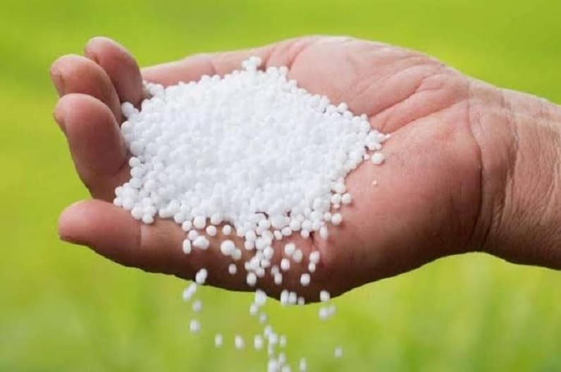 Chhattisgarh News: खाद की जमाखोरी और कालाबाजारी की तो खानी पड़ेगी जेल की हवा, मंत्री नेताम ने दिए अधिकारियों को ये निर्देश, जानिए प्रदेश में कितना है उर्वरक का स्टॉक