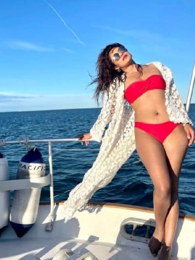 इस देसी गर्ल ने कैसे तय किया बॉलीवुड से हॉलीवुड का सफर, पढ़ें पूरी खबर