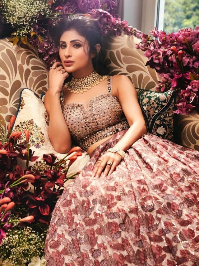डीपनेक गाउन में मोनी रॉय ने दिखाई दिलकश अदाएं, ऐसी ड्रेस देखकर फैंस हुए मदहोश