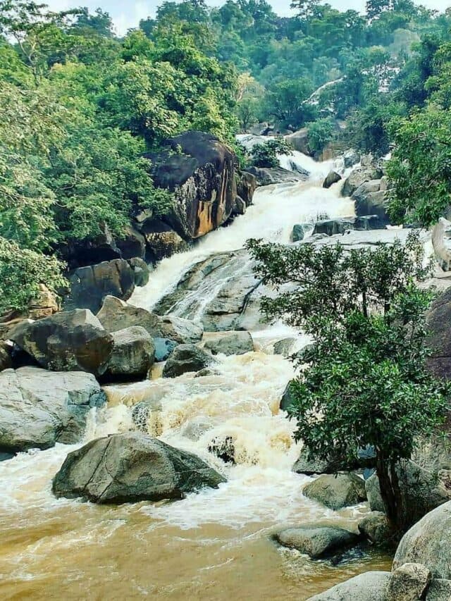 मानसून में पर्यटकों का मन मोह लेता है मलाजकुडूम जलप्रपात का सुंदर नजारा
