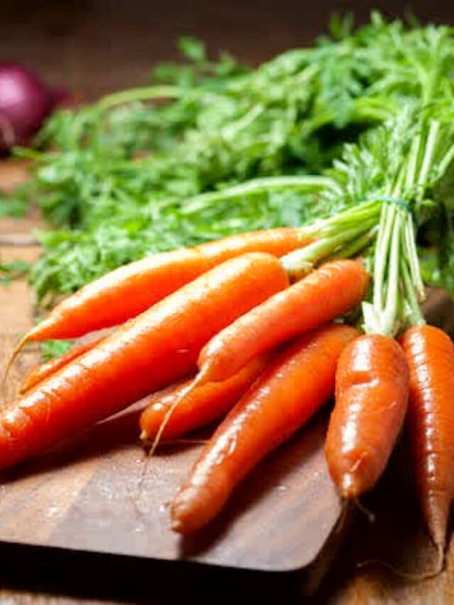 Carrot Benefits: कई बीमारियों का रामबाण इलाज है गाजर, सर्दियों में जरूर करें सेवन