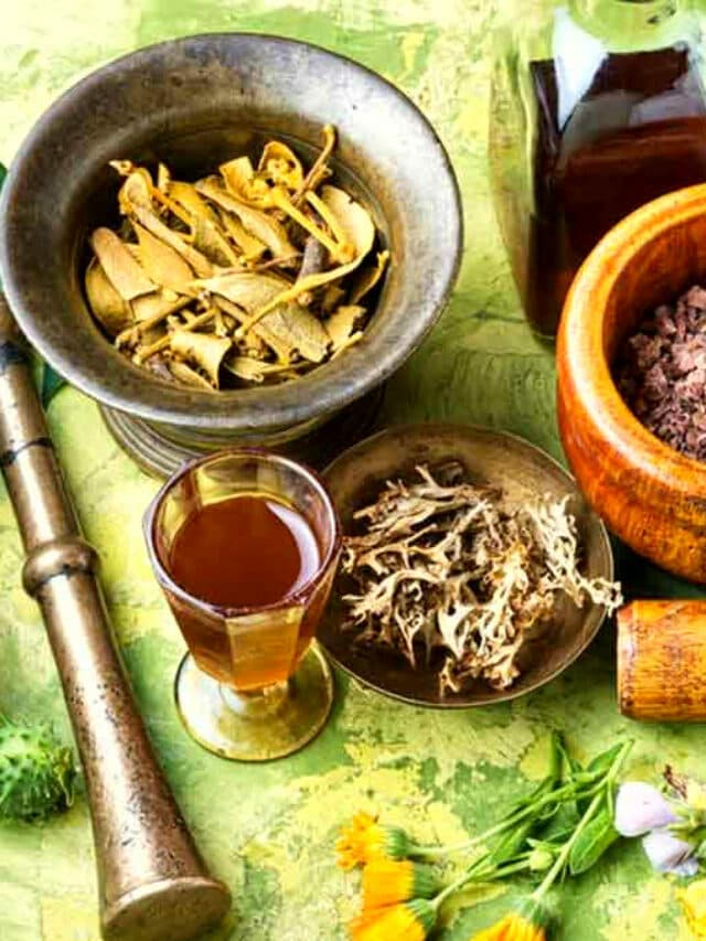 Herbs for Thyroid: थायराइड से परेशान लोगों के लिए बेहद असरदार है ये जड़ी-बूटियां