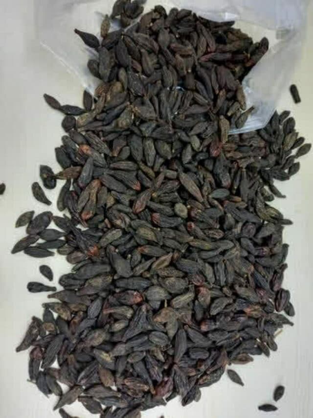 Ayurvedic Remedy: कब्ज को जड़ से खत्म कर दे ये आयुर्वेद इलाज, जानें गजब के फायदे