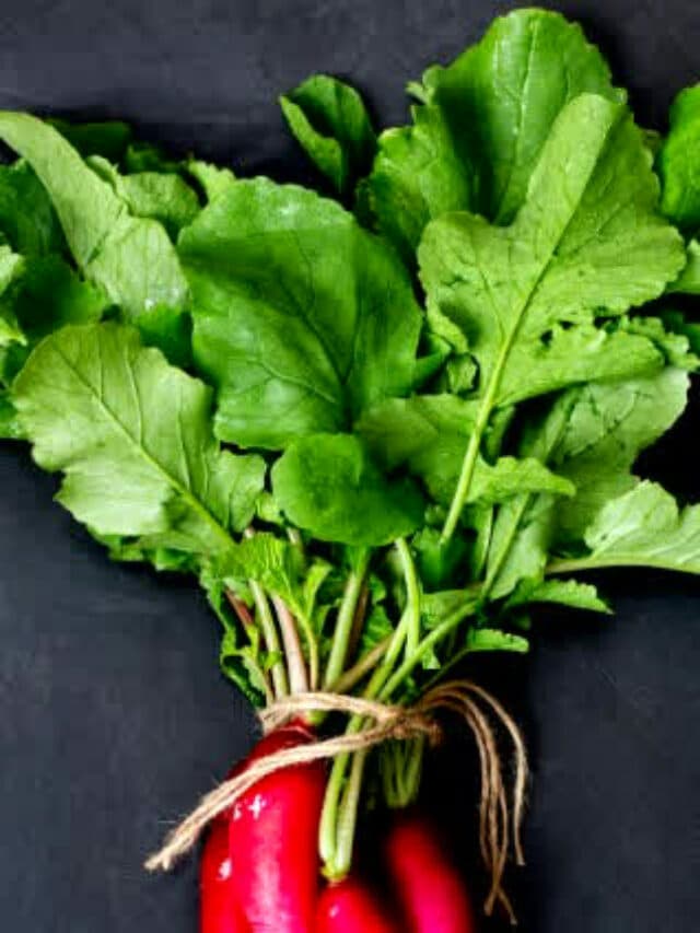Health Benefits Of Radish Leaves: एनीमिया से लेकर पाइल्स तक की समस्या दूर करते हैं ये खास पत्ते