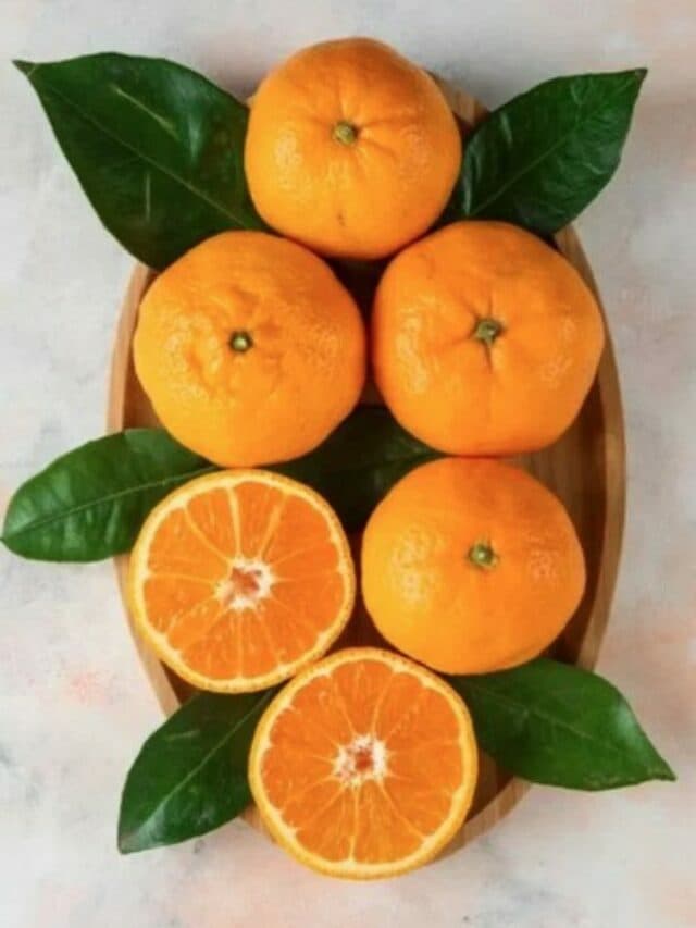 Oranges Side Effects: इन 5 लोगों को भूलकर भी नहीं खाना चाहिए संतरा, जानें साइड इफेक्ट्स