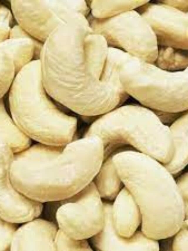Benefits of Cashew Nuts: रोजाना काजू खाने से होते हैं ये फायदे, जानकर आप भी हो जाएंगे हैरान