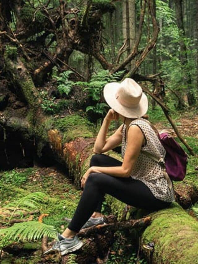 Forest Bathing : दिमाग को रखना चाहते हैं शांत तो आजमाए जापान की ये फॉरेस्ट बाथिंग थेरेपी