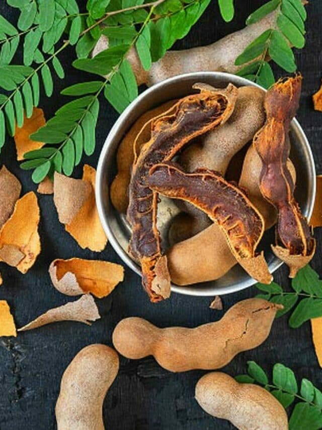 Tamarind Benefits: खट्टी-मीठी इमली के फायदे जानकर आप भी हो जाएंगे हैरान..