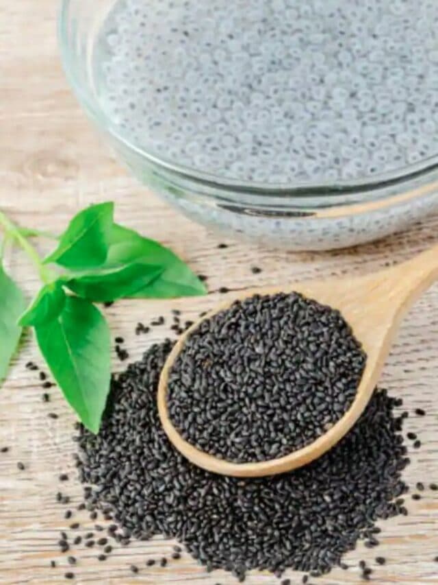 Sabja Seeds: गर्मियों में पेट को ठंडक देते हैं सब्जा के बीज, जानें अद्भुत फायदे…