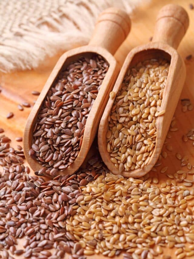 Flax Seed Benefits: सिर्फ बालों के लिए नहीं बल्कि स्किन के लिए भी फायदेमंद होती है अलसी, जानें कैसे करें इस्तेमाल…