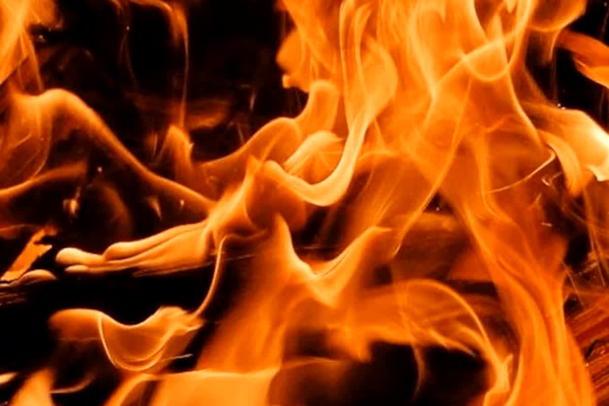Lithium Battery Plant Fire: लिथियम बैटरी प्लांट में लगी भीषण आग, 21 लोगों की हुई दर्दनाक मौत, कई गंभीर रूप से घायल…