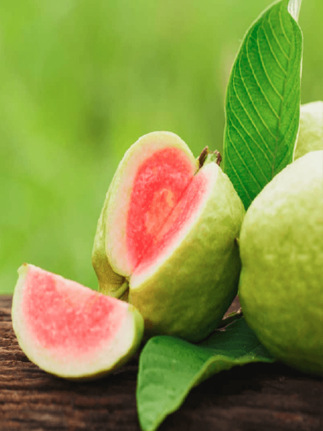 GUAVA HEALTH BENEFITS: जानिए GUAVA से आपके चेहरे को क्या-क्या फायदे हो सकते हैं