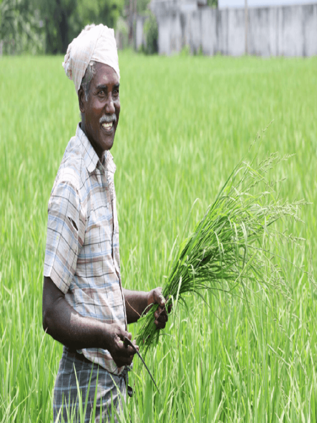 Farmer Identity Card: किसानों का समय बर्बाद होने से भारत सरकार की ये स्कीम बचाएगी