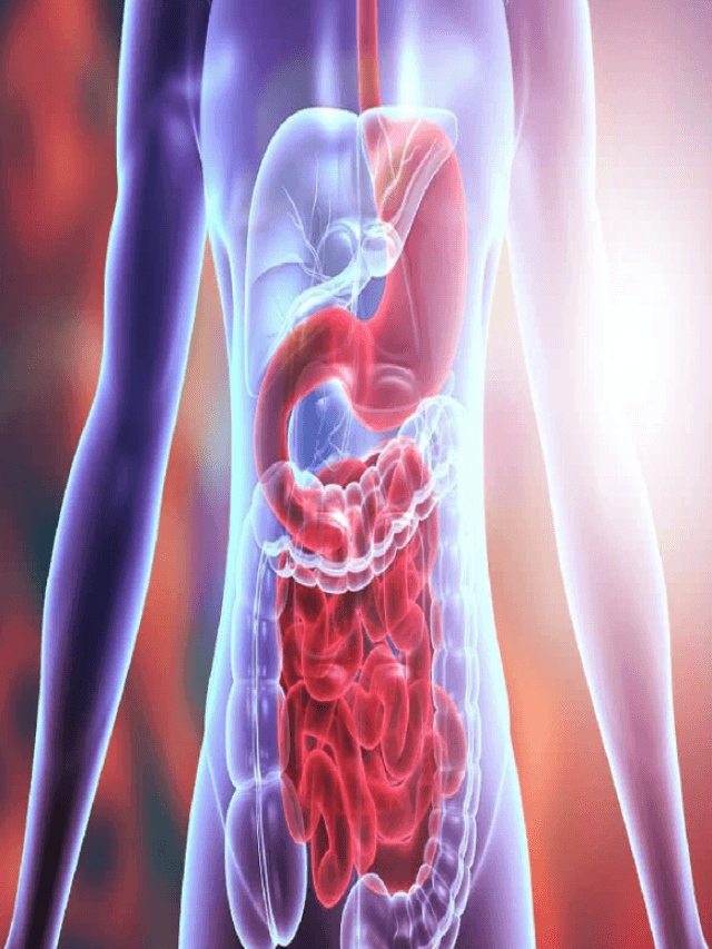 Ways to Improve Digestive Health: पाचन संबंधी समस्याओं को करें खत्म,जानिए ऐसे तरीकों के बारे में