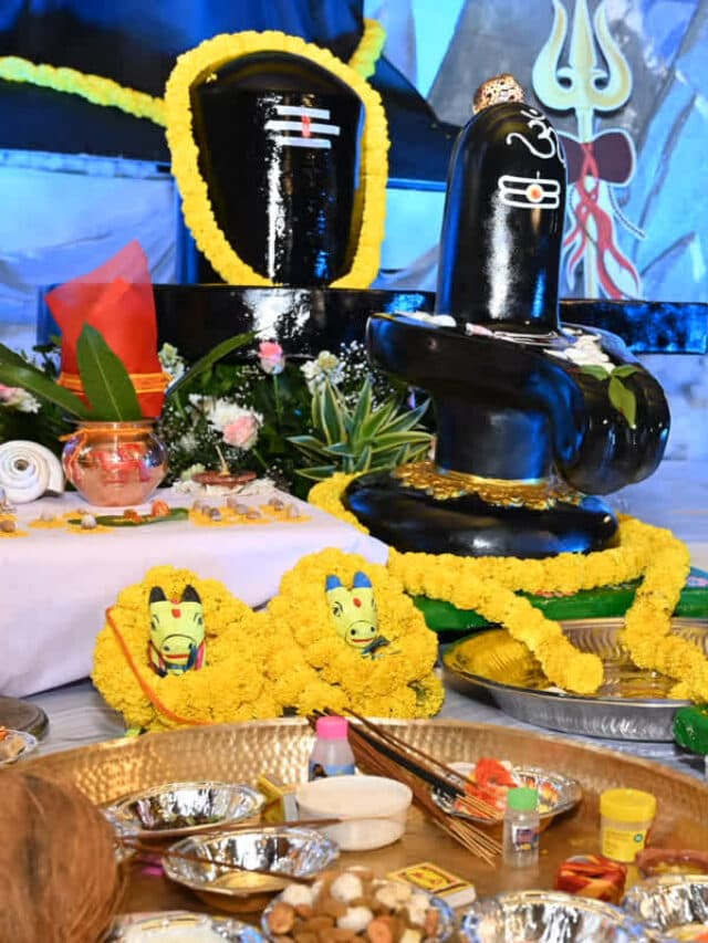 Tija-Pora Tihar 2024: पारंपरिक नंदिया-बइला और खिलौनों से सुसज्जित हुआ सीएम का आंगन, यहां देखें मनमोहक तस्वीरें
