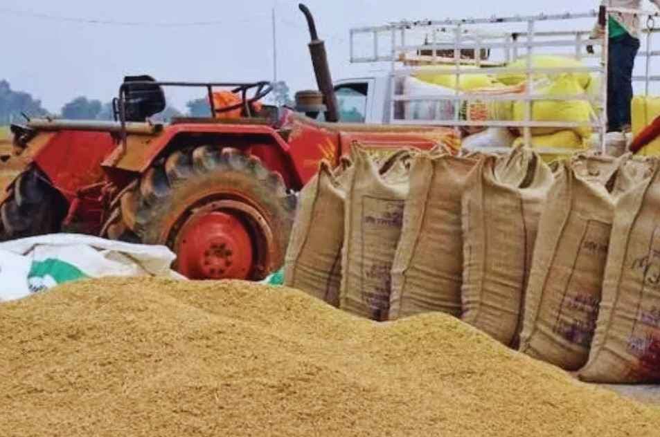बिना धान खरीदे हो गई फर्जी एंट्री! शासन को लगाई गई करोड़ों रुपए की चपत, ऐसे हुआ भ्रष्टाचार का खुलासा