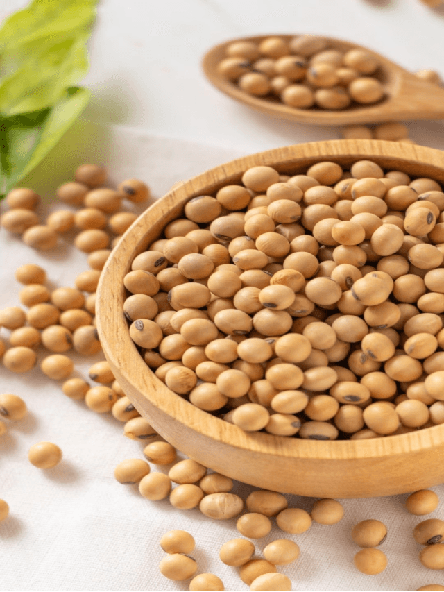 Disadvantages of Soybean : इन लोगों को नहीं खाना चाहिए सोयाबीन, सेहत के लिए हो सकता है नुकसानदायक