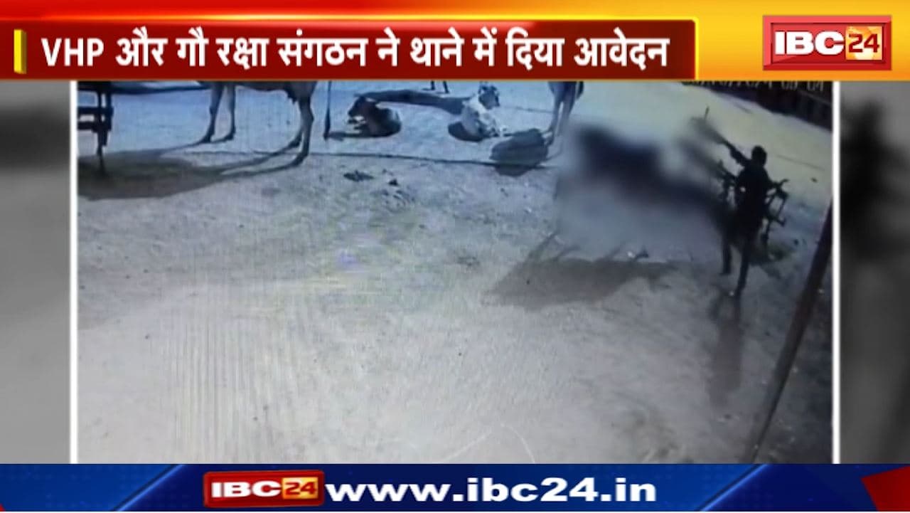 Bhind Animal Cruelty : लोहे की रॉड से पीटकर की गाय की हत्या। पशु क्रूरता का Video आया सामने