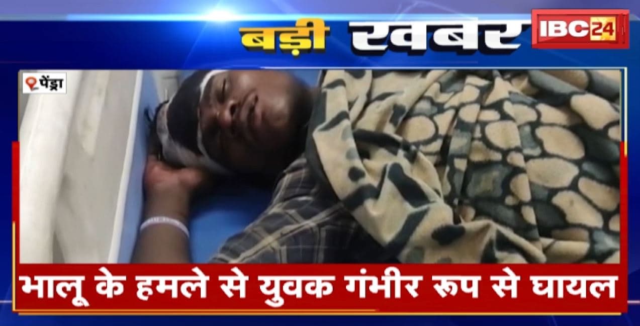 Pendra Bear Attack News : भालू ने युवक पर किया हमला | घायल को अस्पताल में कराया भर्ती