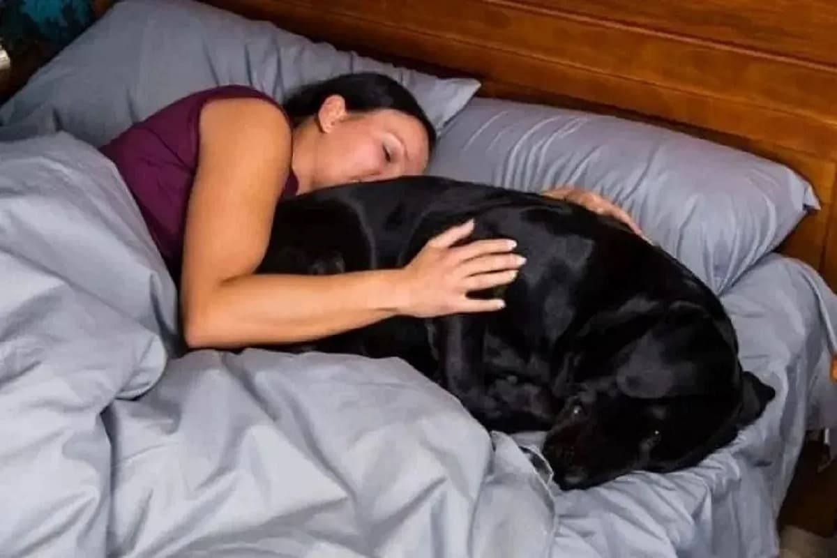Girl Have Sex with Dog: आधी रात बना रोमांस का मूड, लड़की ने कुत्ते के साथ किया सेक्स, वीडियो पोस्ट किया तो खानी पड़ी जेल की हवा
