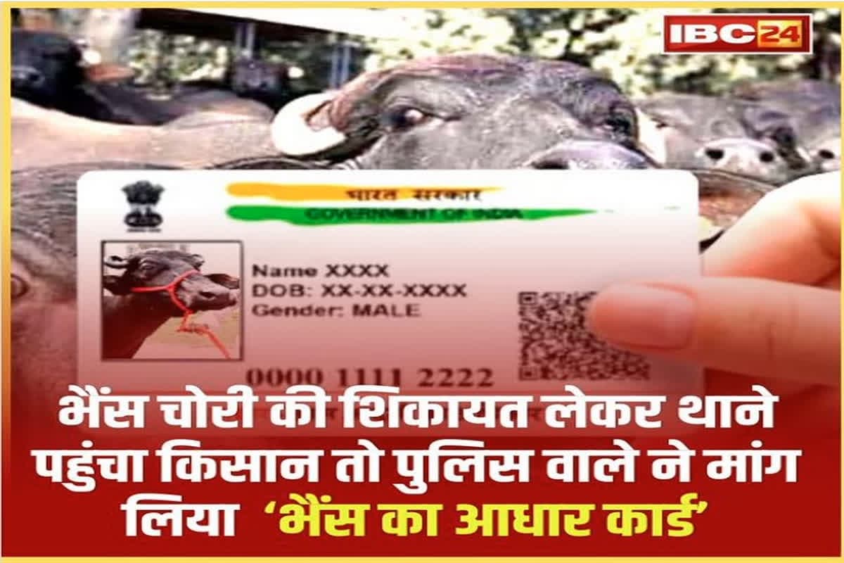 Bhains Ka Aadhar Card: ‘भैंस का आधार कार्ड लाओ, तभी दर्ज होगी FIR..’ पुलिस की बात से परेशान किसान ने SP से लगाई गुहार