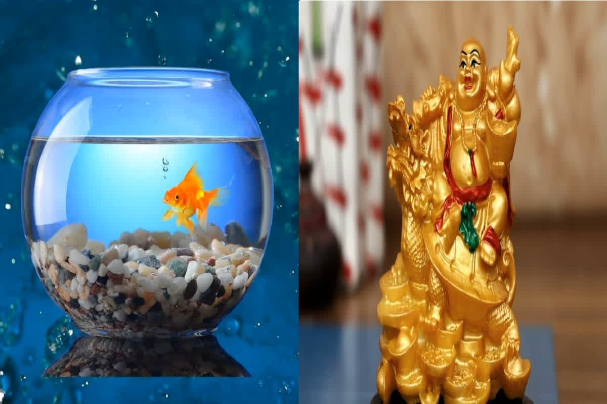 Diwali 2024: इस दिवाली घर ले आएं ये चीजें, प्रसन्न हो जाएंगी मां लक्ष्मी, दूर होगी दरिद्रता