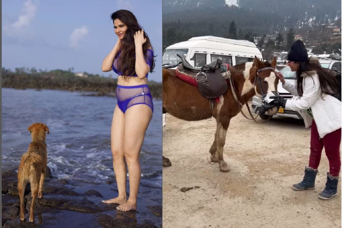 कुत्ता, घोड़ा, सांड के साथ ऐसा करते नजर आयी एक्ट्रेस आभा पॉल, वीडियो देख मजे ले रहे फैंस