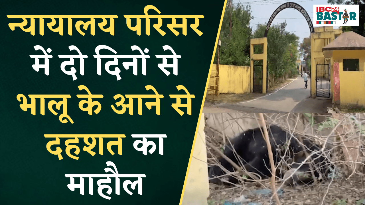 Kanker: न्यायालय परिसर में भालू के आने से दहशत का माहौल, वन कर्मी पर किया हमला आई मामूली चोट |