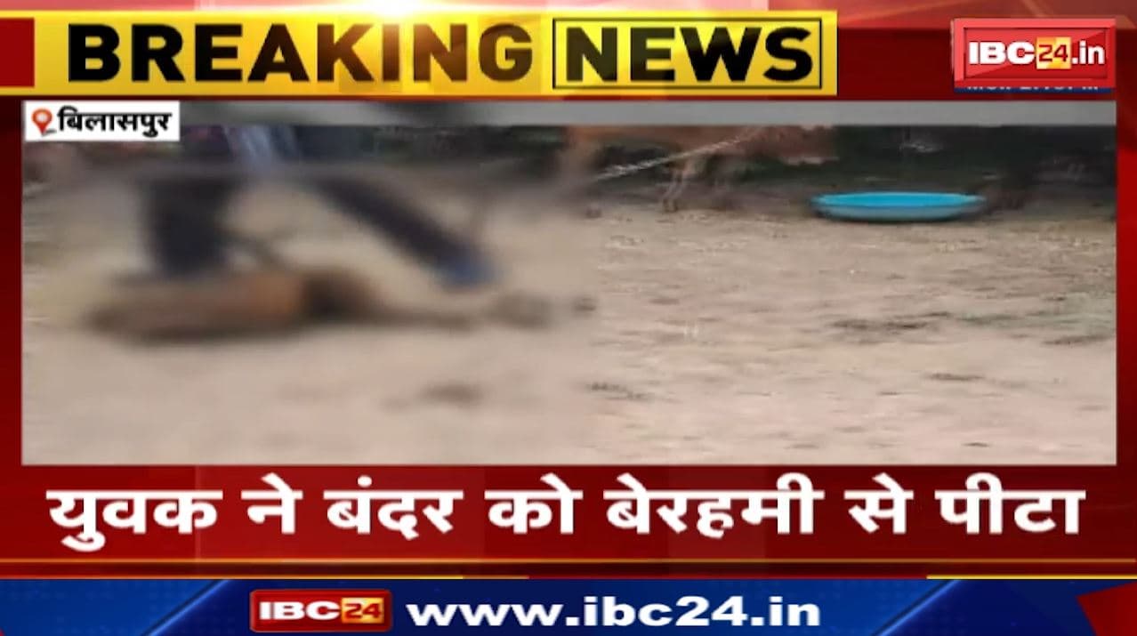 Bilaspur News : युवक ने बंदर को बेरहमी से पीटा | सर्व हिंदू समाज ने थाने में की शिकायत