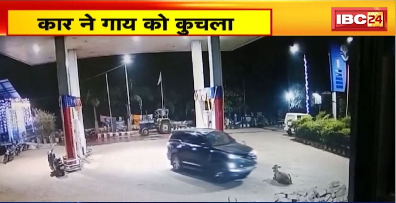 Kawardha Crime News: कार ने गाय को कुचला। CCTV फुटेज के आधार पर पुलिस ने किया आरोपी को गिरफ्तार