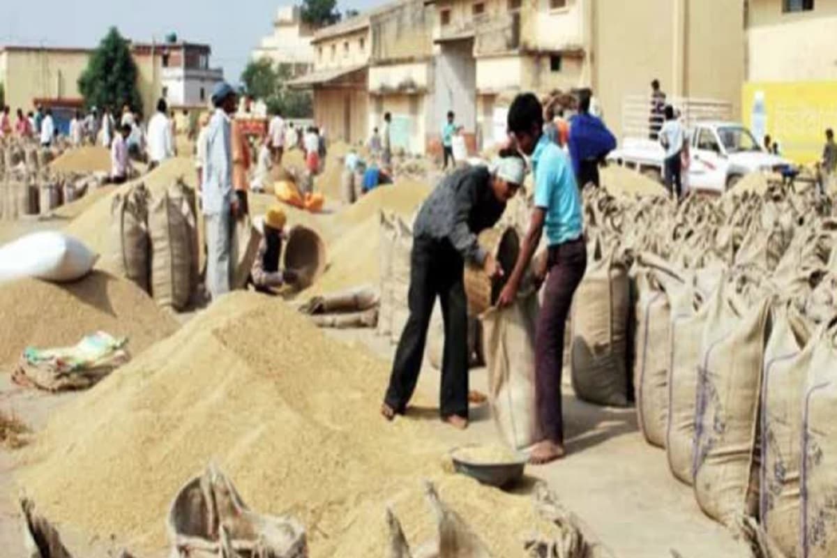 CG Dhan Kharidi 2024 25 Update: छत्तीसगढ़ में प्रति एकड़ 21 क्विंटल धान खरीदी हो रही है या नहीं? सीएम साय ने जानकारी देते हुए कहा- अफवाहों पर ध्यान न दें