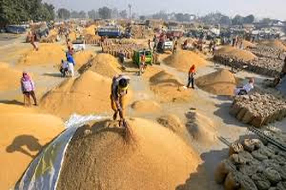 Dhan Kharidi Chhattisgarh Rate: सीएम साय ने धान खरीदी के बीच कर दिया बड़ा ऐलान, किसानों को दी बड़ी सौगात, सुनकर खुशी से झूम उठेंगे अन्नदाता
