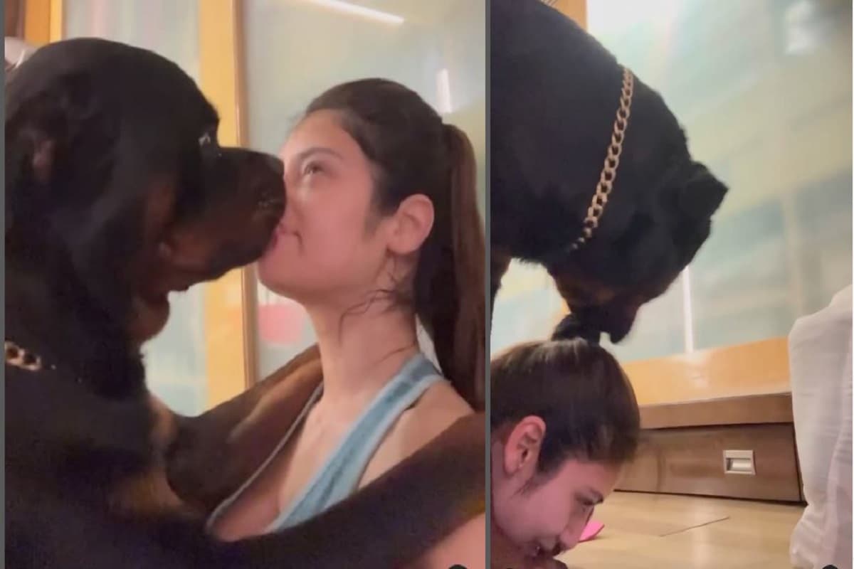 Actress nusrat jahan sexy video: बंगाली एक्ट्रेस को किस करते नजर आया कुत्ता, फिर नीचे गिराकर करने लगा ऐसा काम