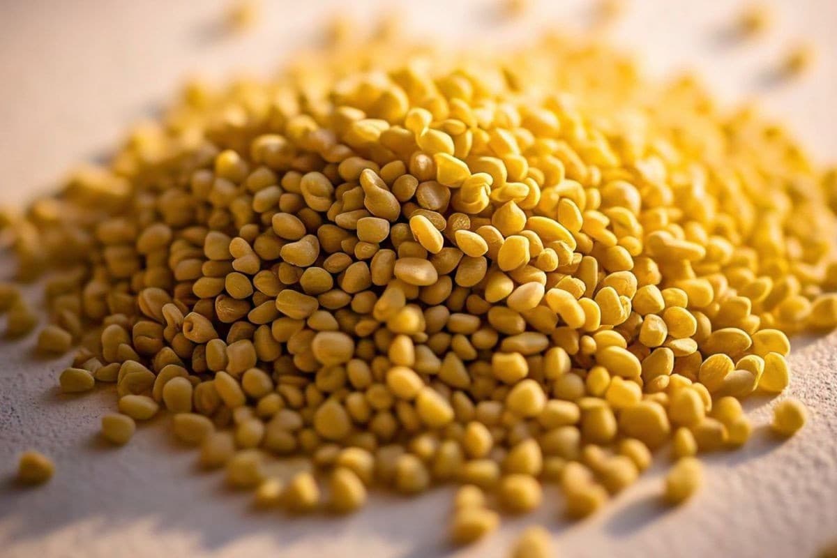 Methi Khane Ke Fayde: मेथी से मिलेगा कई रोगों से छुटकारा, शरीर को सेहतमंद रखने में करती है मदद, जानें इसको खाने के फायदे…